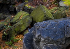 2013-10-27-7452