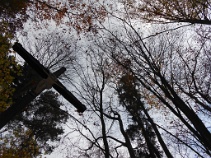 2013-10-27-7470