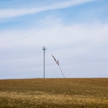 2013-03-17-7445