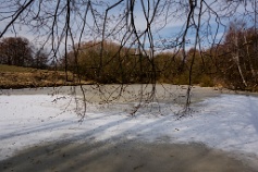 2013-03-17-7482